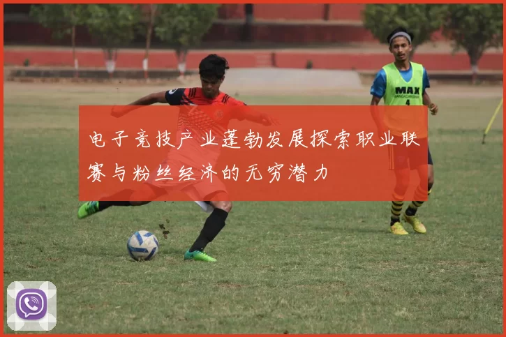 电子竞技产业蓬勃发展探索职业联赛与粉丝经济的无穷潜力