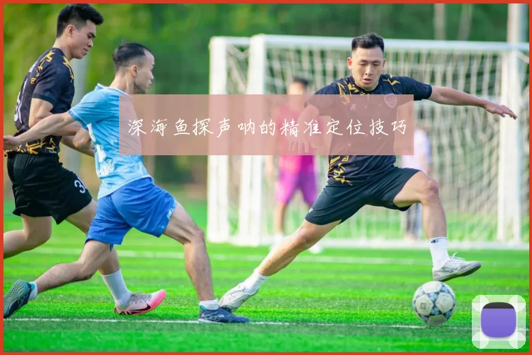 深海鱼探声呐的精准定位技巧