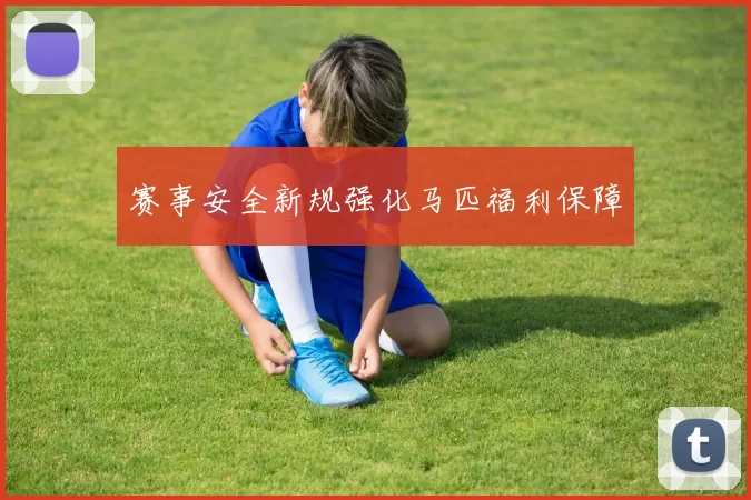 赛事安全新规强化马匹福利保障