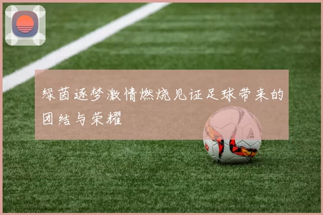 绿茵逐梦激情燃烧见证足球带来的团结与荣耀