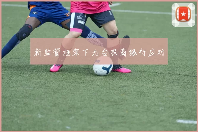 新监管框架下九台农商银行应对