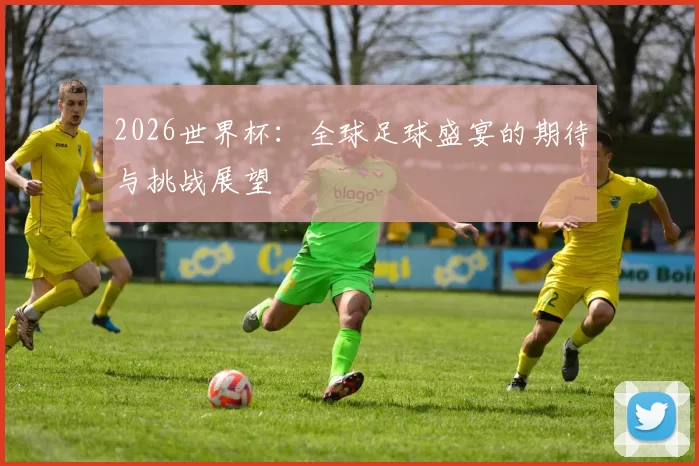 2026世界杯：全球足球盛宴的期待与挑战展望
